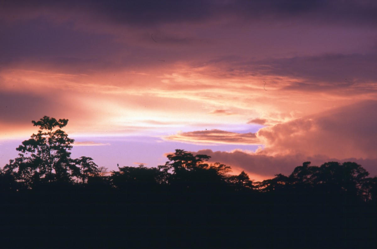 034_abendlicht.jpg