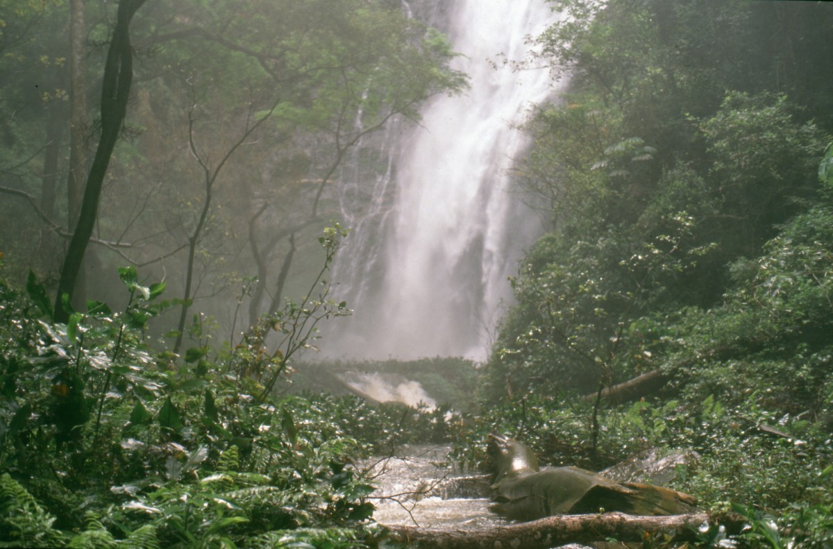 046_alles_ziemlich_feucht.jpg