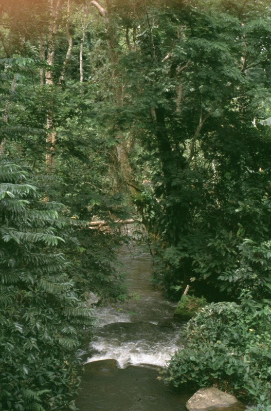 052_nochmal_bechbett.jpg