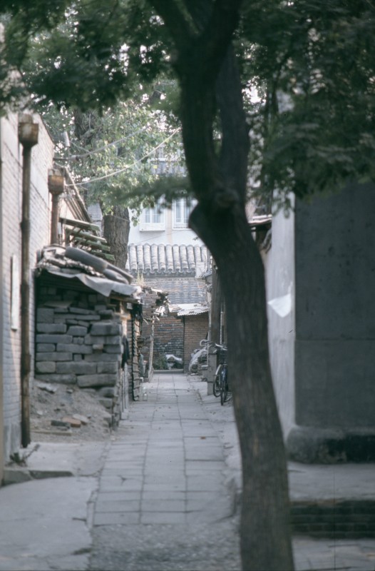 044_hinterhof.jpg