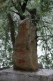 130_stele.jpg