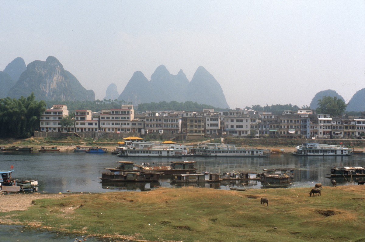 193_yangshouii.jpg