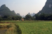 145_reisfelder_bei_yangshou.jpg