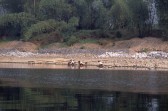 180_leben_am_fluss.jpg
