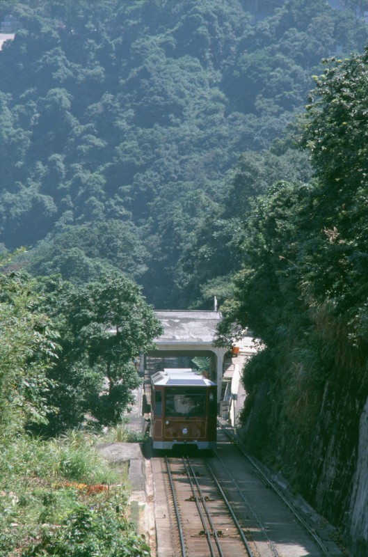 234_baehnli_auf_berg.jpg