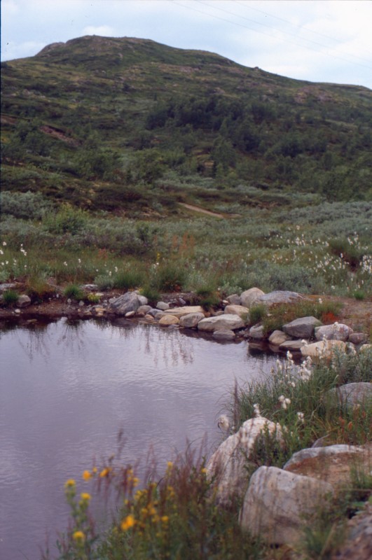 005_auf_dem_hardangervidda.jpg