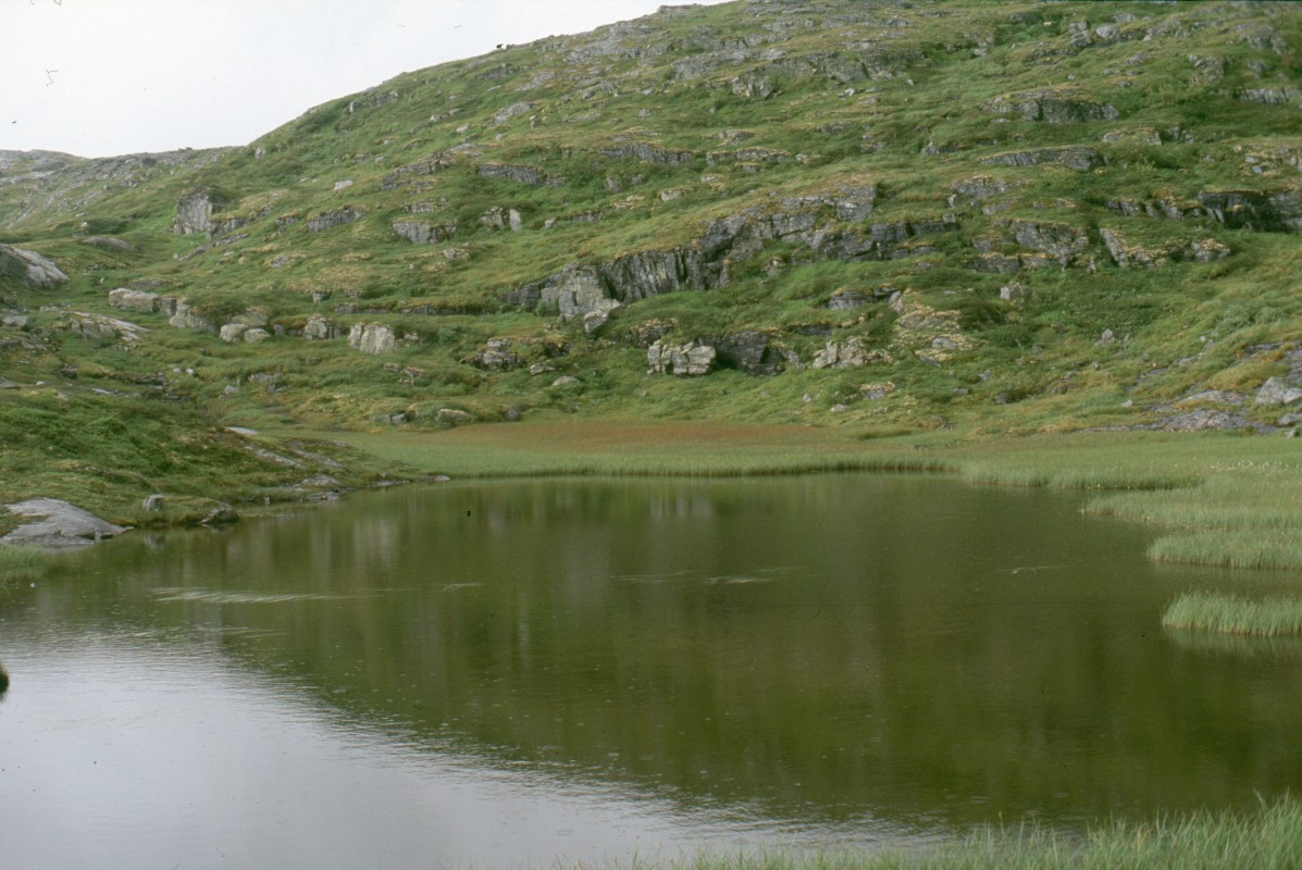 020_kleines_seelein.jpg
