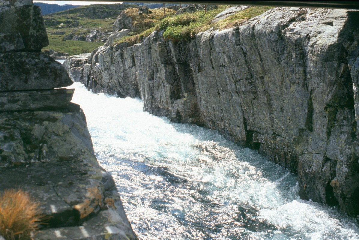 025_tosende_rinne.jpg