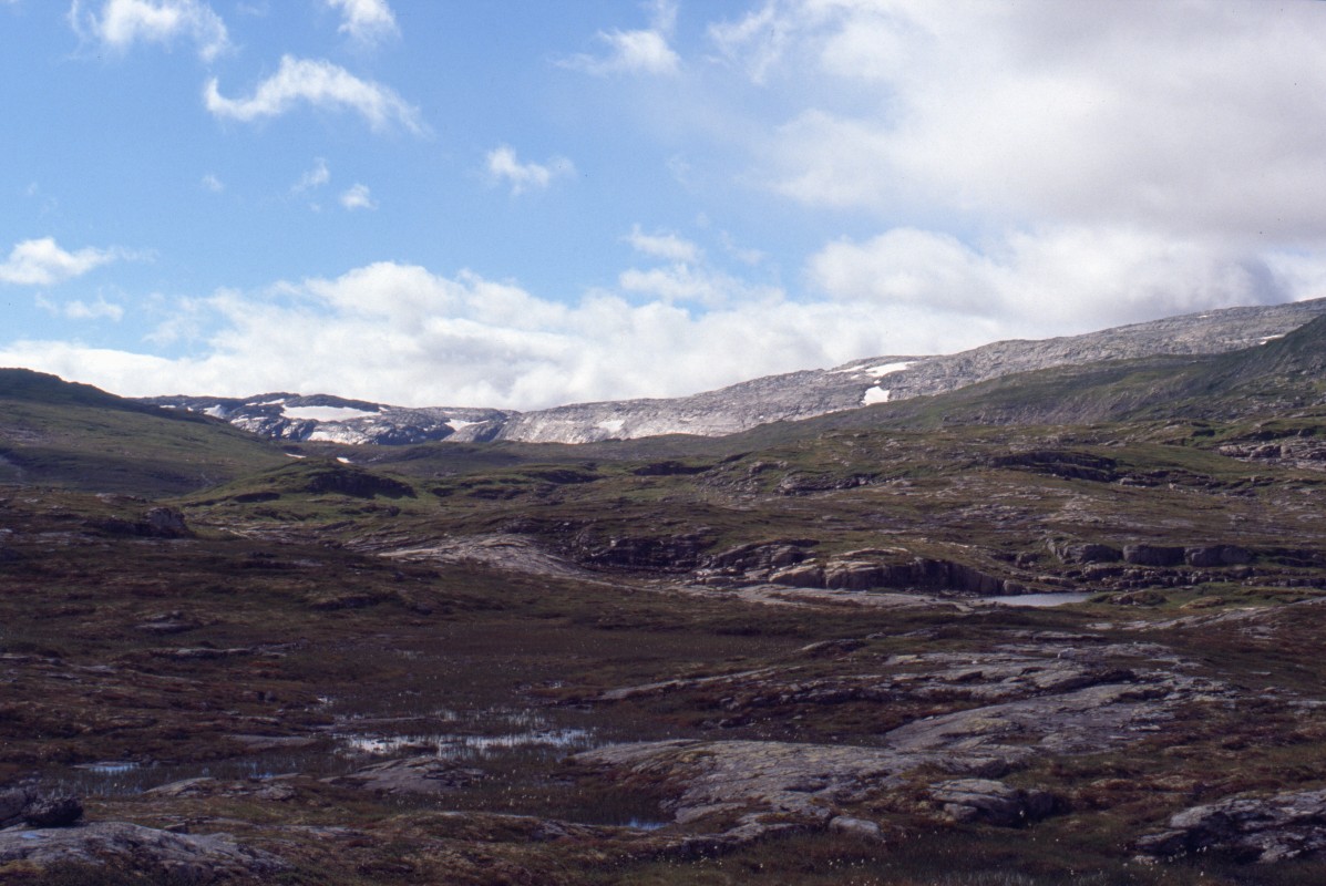 027_gruene_mondlandschaft.jpg