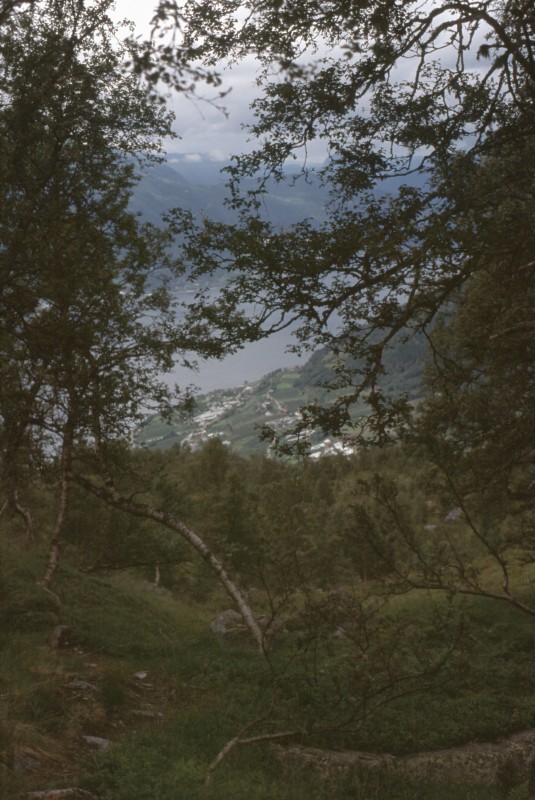 028_blick_auf_lofthus.jpg