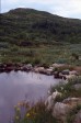005_auf_dem_hardangervidda.jpg