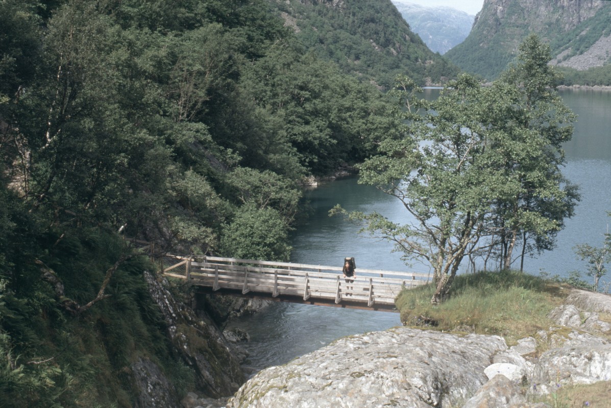 045_bruecke_am_see.jpg