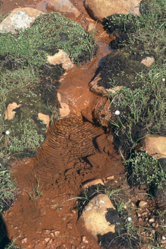 086_rote_erde.jpg