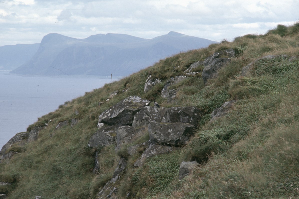 105_blick_von_runde.jpg