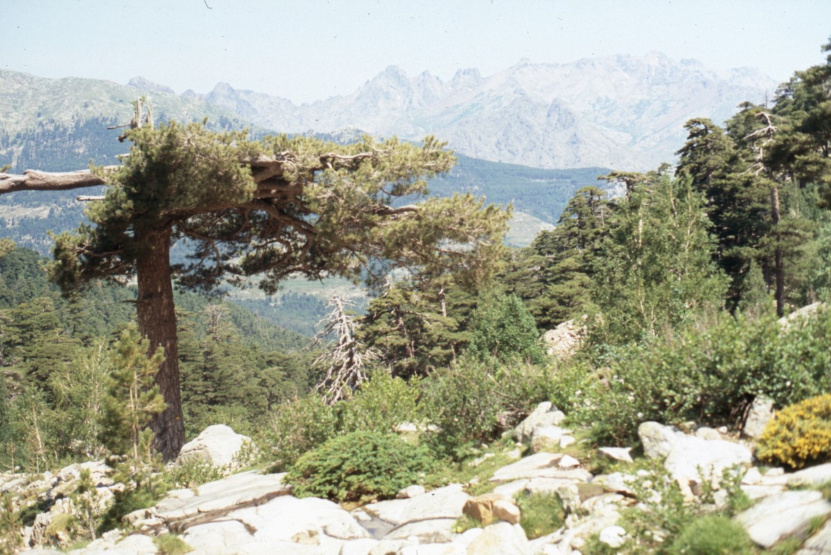 028_gegenueber_des_cinto.jpg