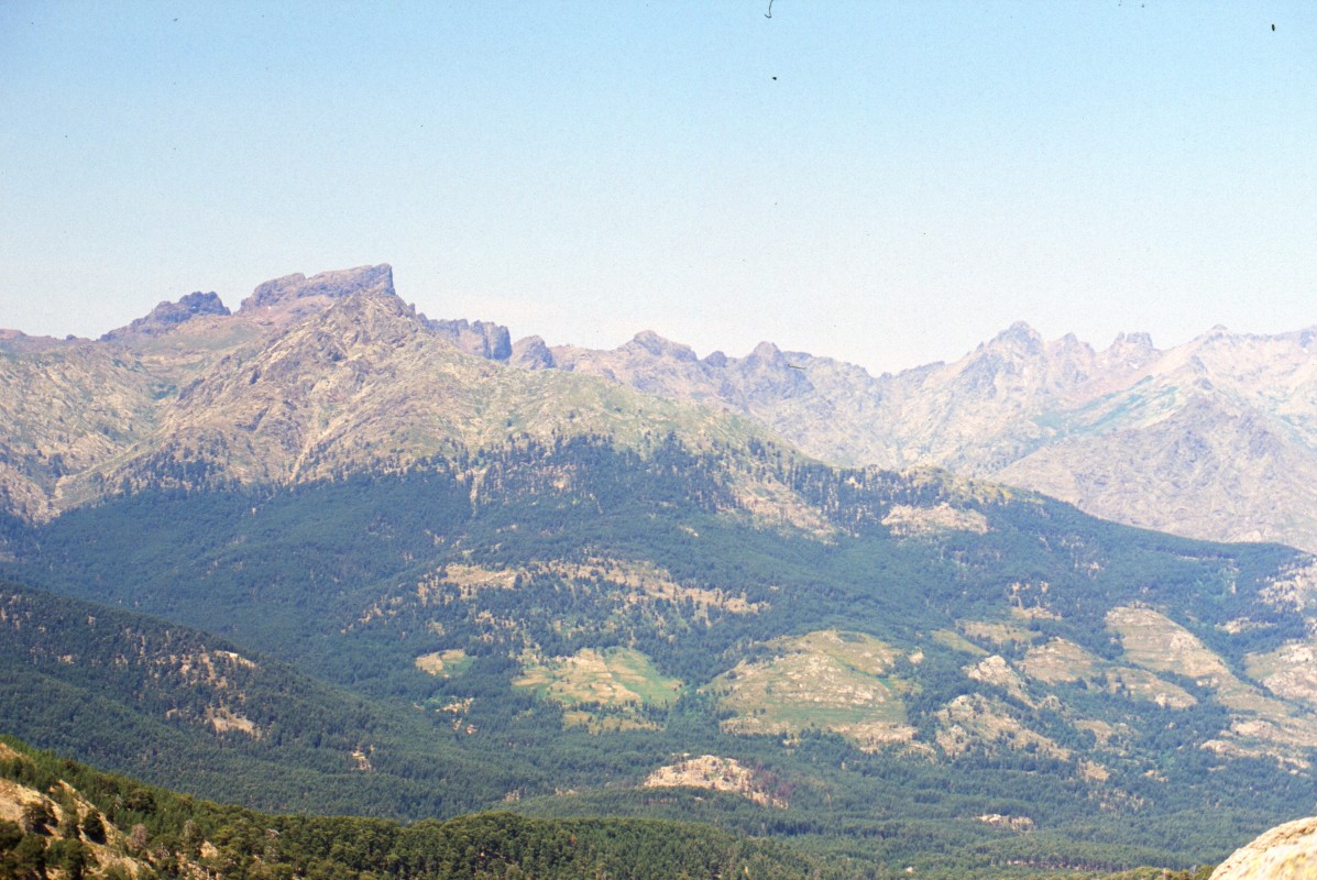 031_nochmal_cinto.jpg