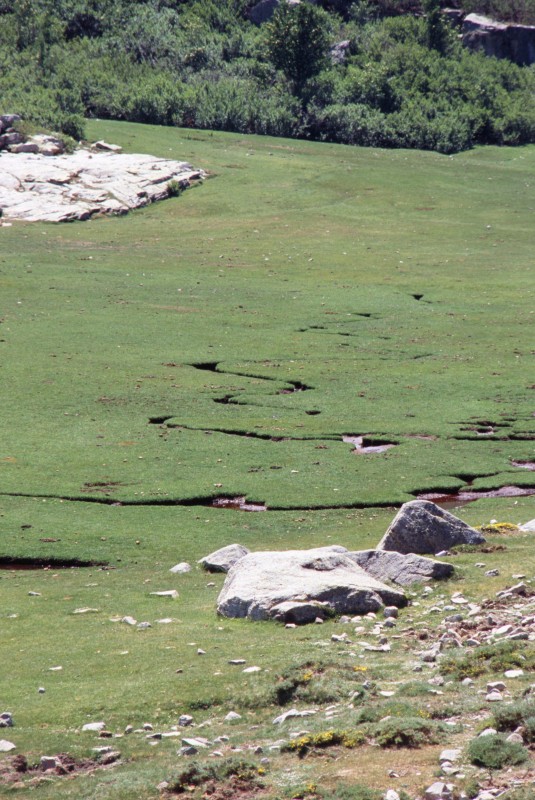 036_mikro_flusslandschaft.jpg
