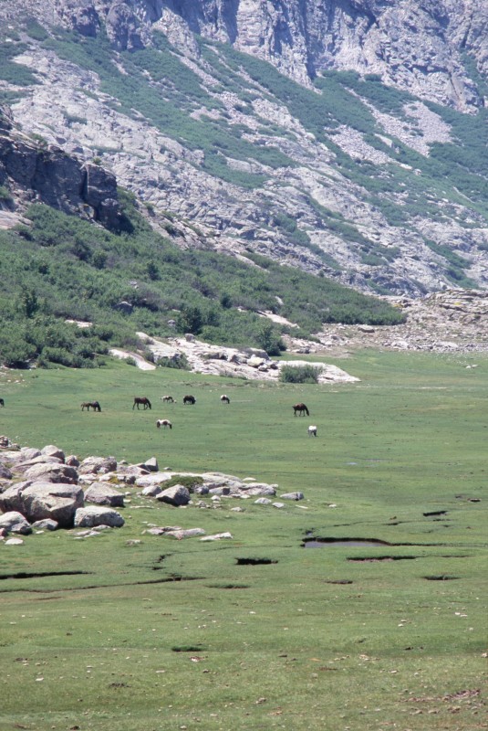037_idyllische_landschaft.jpg