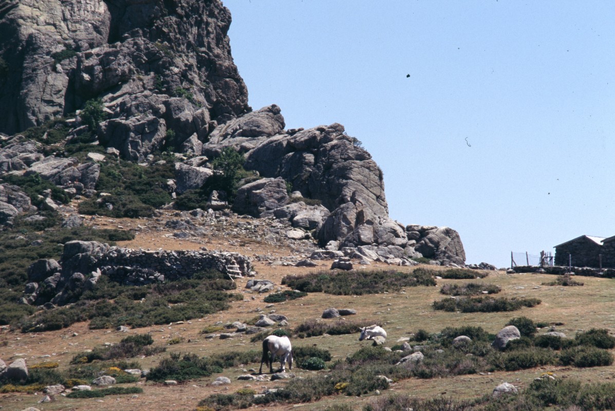 041_plateau_d_alzo.jpg