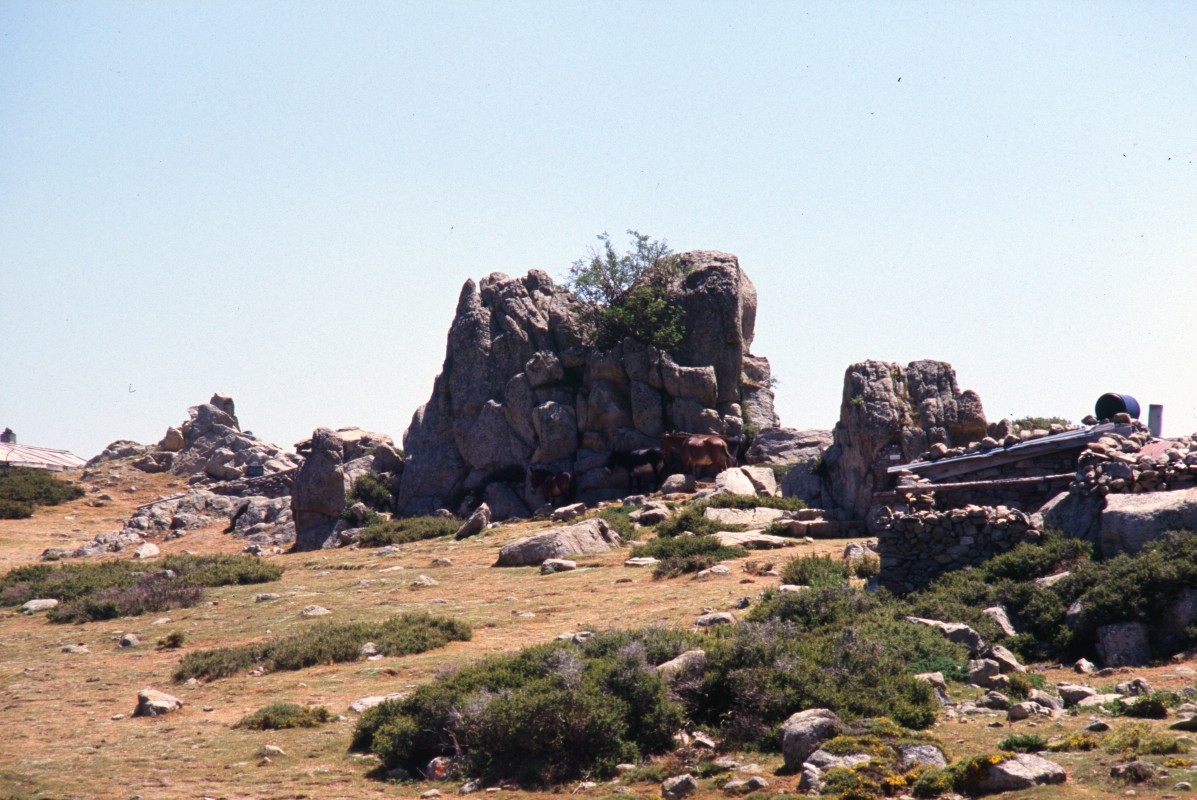 042_bergerie_de_capellacia.jpg
