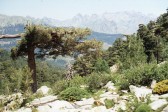 028_gegenueber_des_cinto.jpg