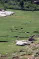 036_mikro_flusslandschaft.jpg