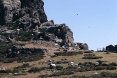 041_plateau_d_alzo.jpg