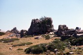 042_bergerie_de_capellacia.jpg