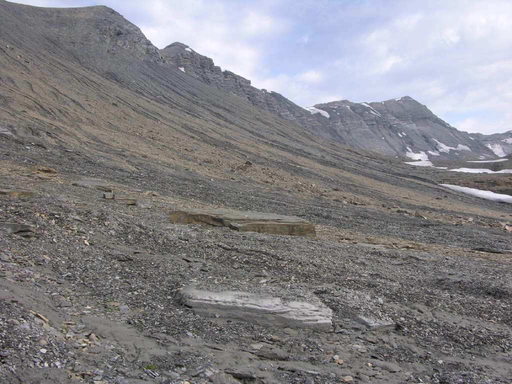 018_geroellhalde.jpg