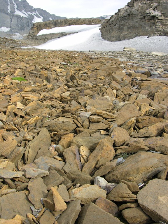 027_geroellpiste.jpg