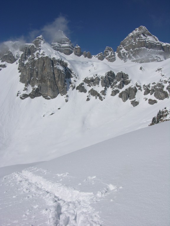 001_rossstockgruppe.jpg