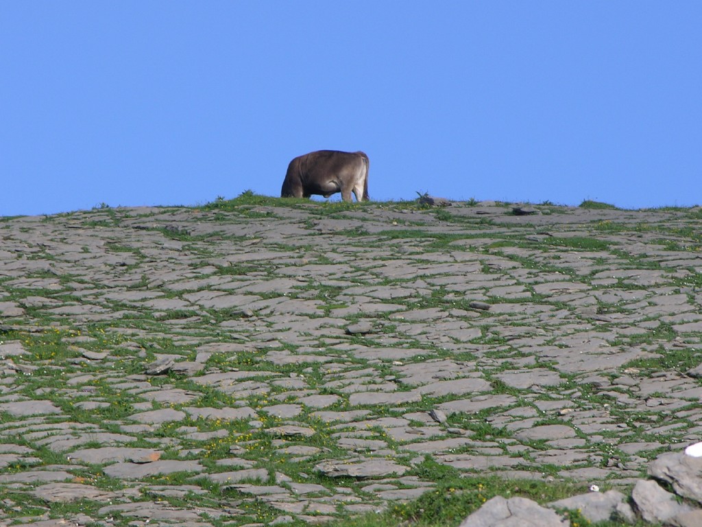 dscn1635.jpg