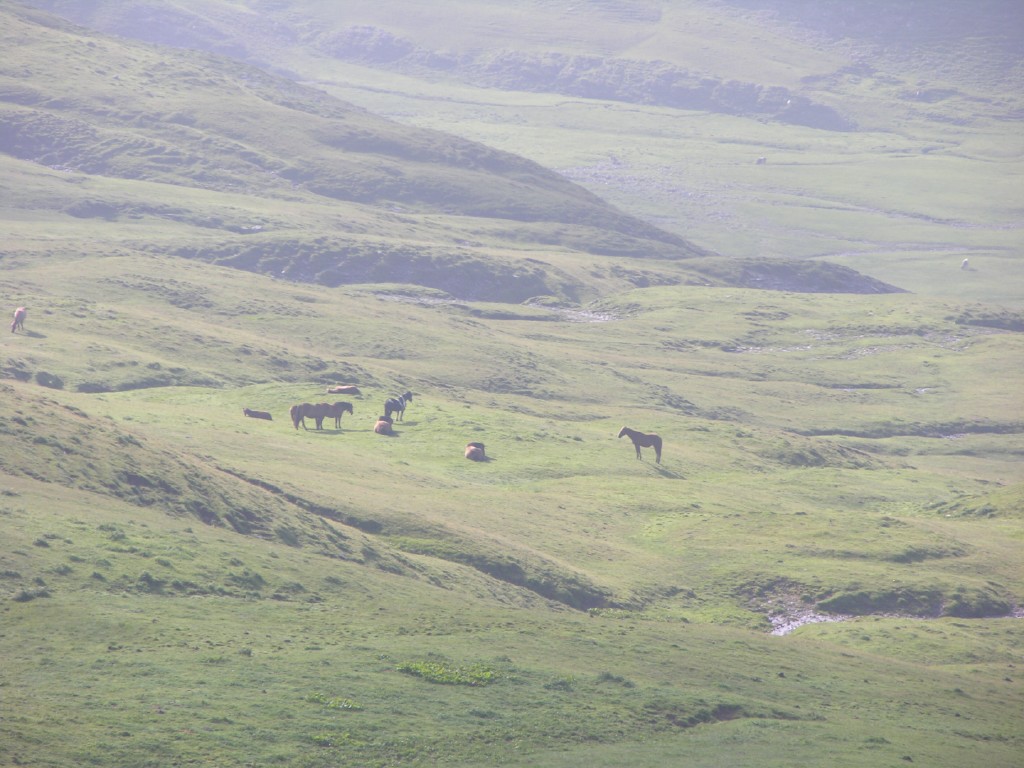 dscn1636.jpg