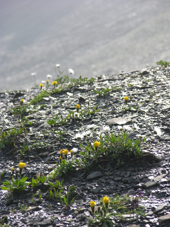 dscn1638.jpg