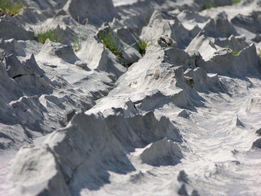 dscn1646.jpg