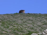 dscn1635.jpg