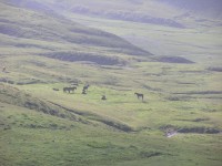 dscn1636.jpg