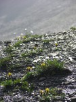 dscn1638.jpg