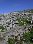 dscn1643.jpg