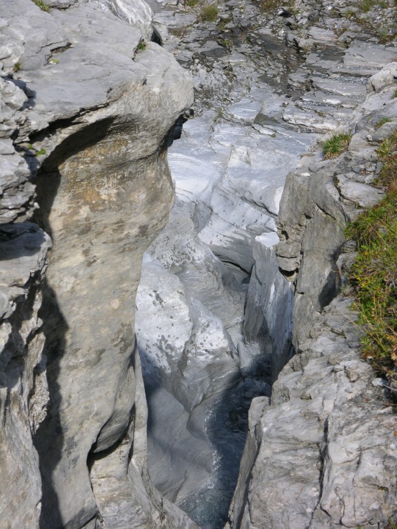 dscn1761.jpg