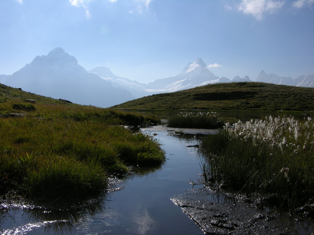 dscn1779.jpg