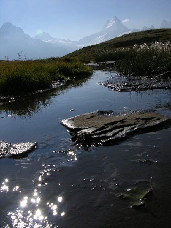 dscn1781.jpg