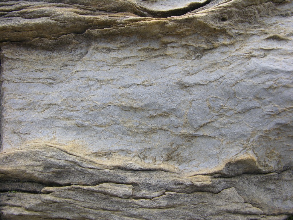 dscn1813.jpg