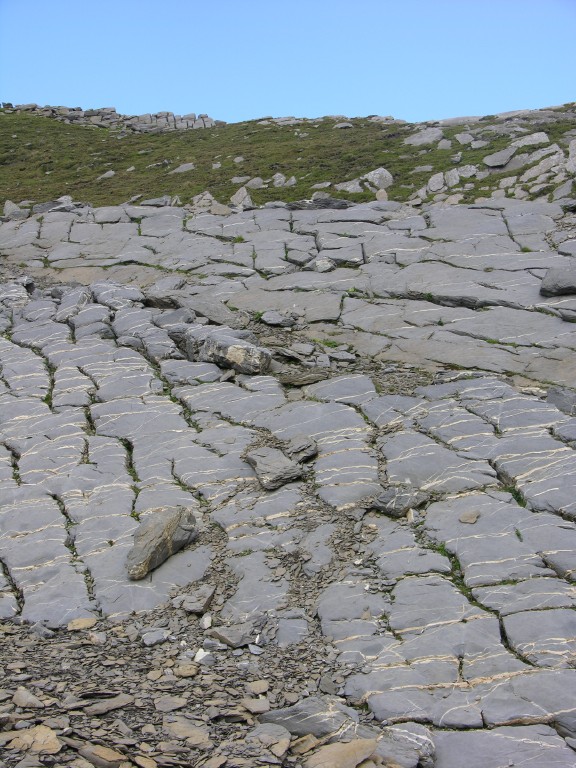 dscn1814.jpg