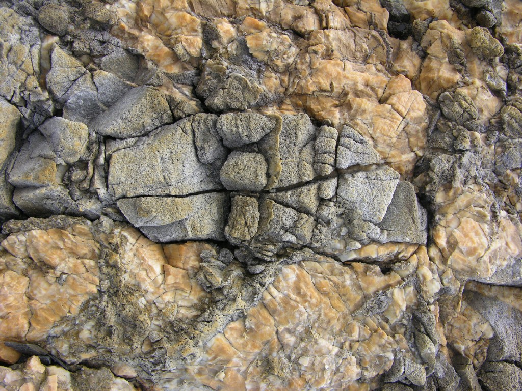 dscn1816.jpg