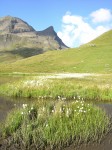dscn1775.jpg