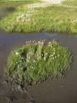 dscn1777.jpg