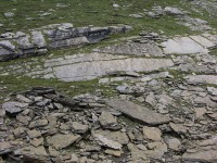 dscn1808.jpg