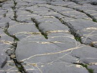 dscn1815.jpg