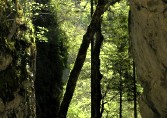 In den Plattenjura